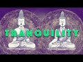 Tranquil mindscapes ambient music for stress relief and healing