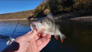 видео: Скільки ж тут цього окуння!!? Спінінг на Дністрі!!! картинка: Скільки ж тут цього окуння!!? Спінінг на Дністрі!!!