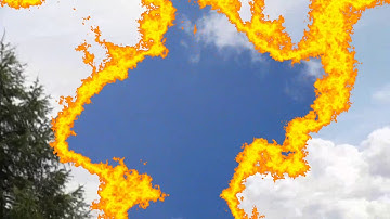 New MiBo Swift- Short clips