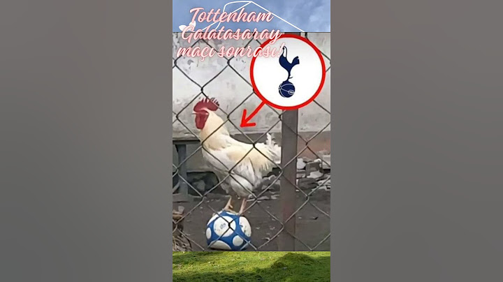 Galatasaray Tottenham maç sonrası...