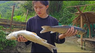 Grief - fish pond - digging up medicinal plants to sell || 17 year old single mother