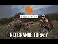 Texas Rio Grande Turkey: The Journey Within - A Bird Hunters Diary | Mark V Peterson