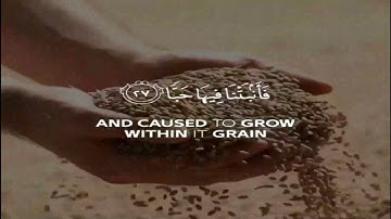 تلاوة من سورة عبس للقارئ فاتح سفرجيك