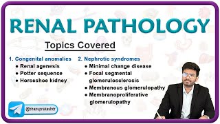 🌟 Exploring Renal Pathology: Congenital Anomalies & Nephrotic Syndromes 🌊