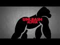 HOW TO BE ASSERTIVE | LIKE THE ALPHA