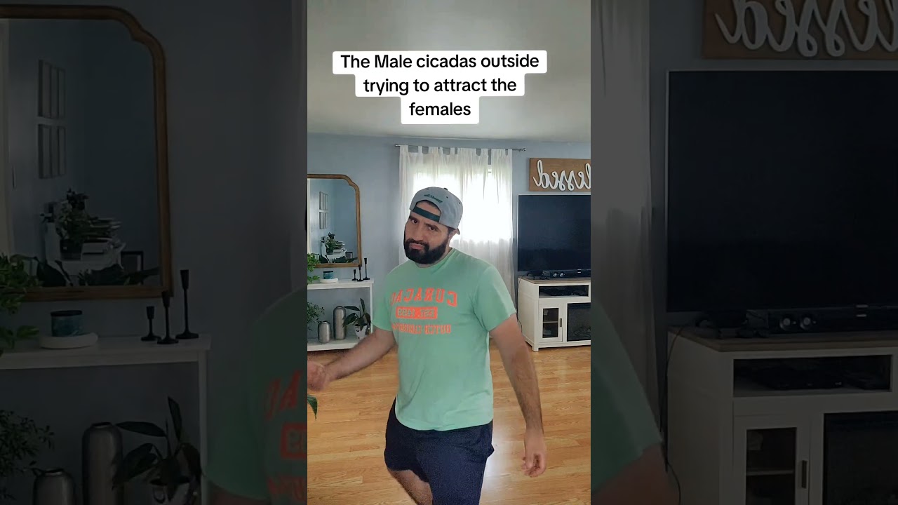 These Cicadas Are Calling! 