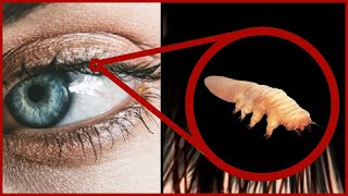 Facts You Didnt Know About Human Body