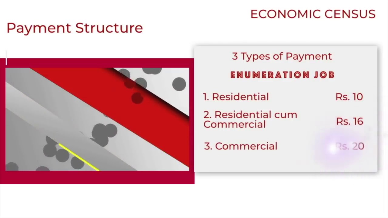 Economic Census VLE Payment Structure