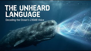 Nothing About Sperm Whales Is Normal... Here's Why