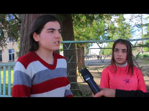 მე7 კლასის მიერ ჩატარებული საახალწლო გამოკითხვა