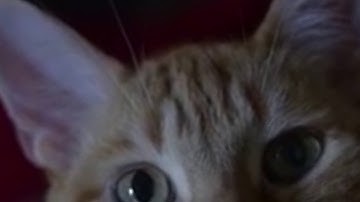 Shortest video on YouTube part 8