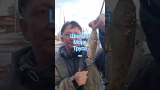 🎣 Ловим рыбу в Швеции в Трусах (почти 😅) #рыбалка #швеция #еда #приключения