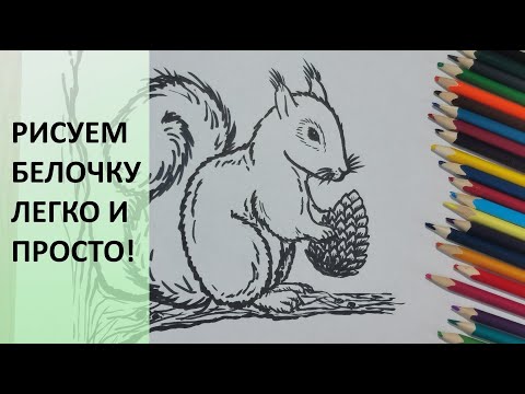 Как нарисовать БЕЛКУ. Пошагово. Урок рисования для детей и для начинающих. How to draw a squirrel