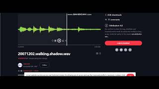 20071202.walking.shadow.wav