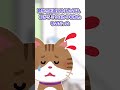 猫を自転車で跳ねてしまった…すると【ほっこり】
