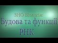 ЗНО Біологія  Будова та функції РНК