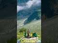 WHISPERS OF THE MOUNTAINS - A SHEPHERD'S LIFE IN KASHMIR #nature #shepherdlife #india #culture