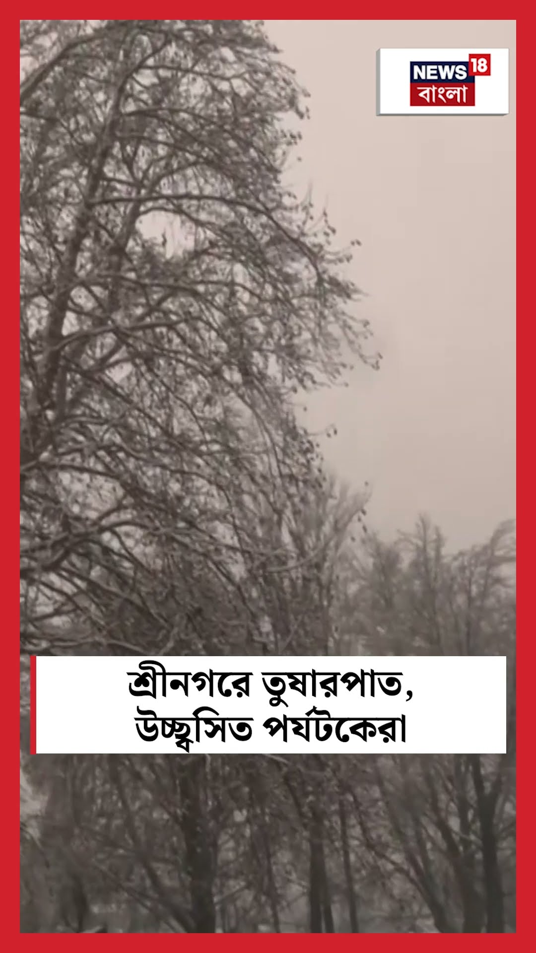 Srinagar এ তুষারপাত, উচ্ছ্বসিত পর্যটকেরা | N18S #shorts