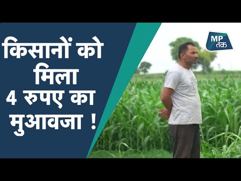 वीडियो: क्या वीडब्ल्यू का बीमा कराना महंगा है?