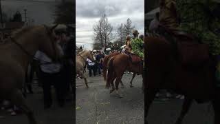 IMG 1306