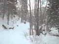 video Cross-country skiing...