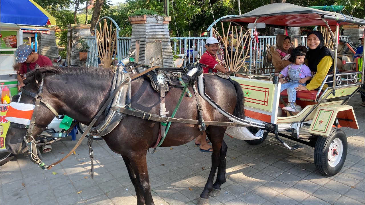 NAIK KERETA KUDA DELMAN DI ALUN-ALUN SIDOARJO - ILYAS JEPRET