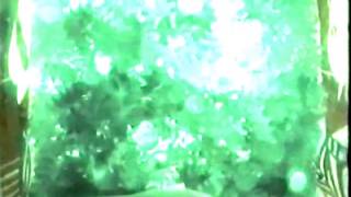 Opening To Muppet Treasure Island 1996 Vhs Incorrect Version