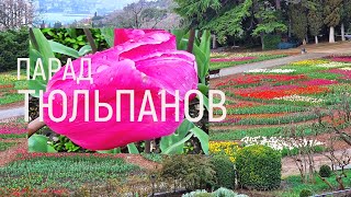 Крым. Парад Тюльпанов 2024. Цветочная феерия