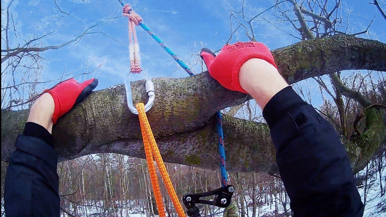 Tree climbing. Passing redirect to the central climbing axis.Rope Wrench #treeclimbing #climbing