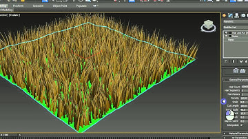 Creating a parametric grass in Autodesk 3ds max
