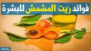 فوائد زيت المشمش للبشرة