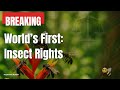 Amazon Bees Win Legal Rights: Insect Protection Goes Global