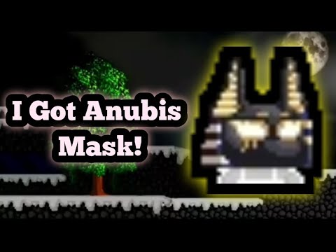 Video: Miltä Anubis Näyttää