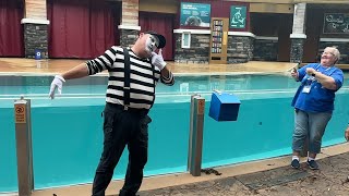 Tom Mime SeaWorld Orlando is HILARIOUS