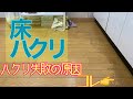 床のワックス剥離。失敗の原因はココ！！100均グッズで掃除！