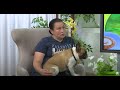 Званый гость - Школа дрессировки «Компаньон» - детский сад для собак. Альфия Галимова