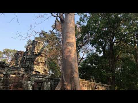 Video: Tempel Banteay Kdey (Banteay Kdey) - Alternative Ansicht