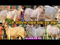 👉9382822761 👉লোকমান দর্জির গরুর ভিডিও জয়নগর || Joynagar Goru Video Tarafdar Vlog 2026 