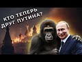 11 ДРУЗЕЙ путина, КОТОРЫЕ ОТ НЕГО ОТКАЗАЛИСЬ!