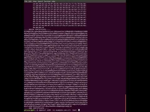 openssl view certificate