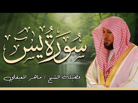 استمع الى سورة يس من القرآن الكريم آيات تملأ قلبك إيمان ا وطمأنينة الشيخ ماهر المعقلى