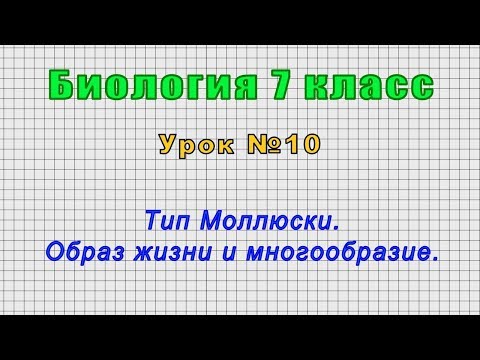 Биология 7 класс (Урок№10 - Тип Моллюски. Образ жизни и многообразие.)