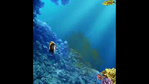 AquaPhone 3D by Dynamic Pixels