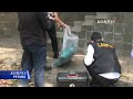 Sebelum Meninggal, Sutrimo Sempat Cerita Eks Jampidsus Febrie Adriansyah Sedang Ada Masalah