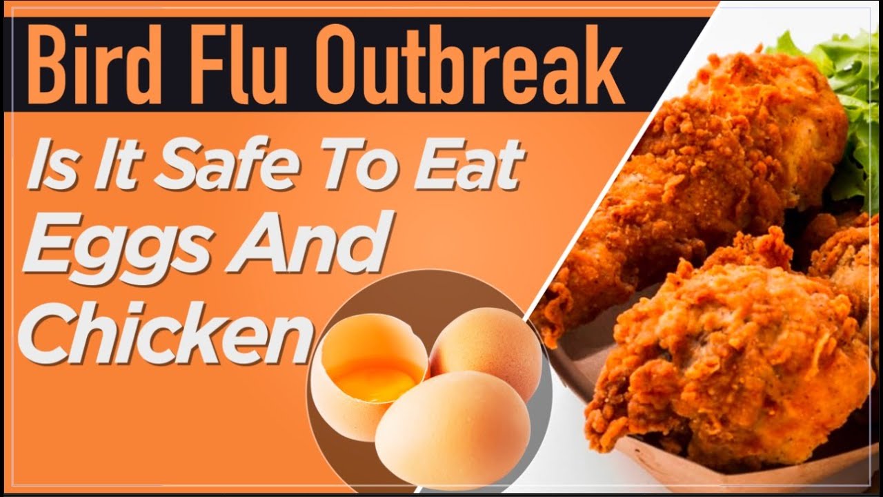 Bird Flu Outbreak whether to eat chicken and eggs during bird flu know