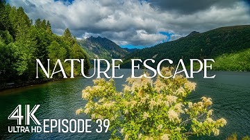 Coldwater Lake Tranquility 4K | Gentle Splashes, Crickets & Mount St. Helens Horizon - Ep 39