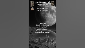 سورة هود 28/19 itali/arabo#القران_الكريم  #quran