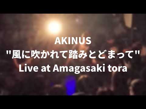 【期間限定】AKINUS「風に吹かれて踏みとどまって」2023/04/22 Live at Amagasaki tora