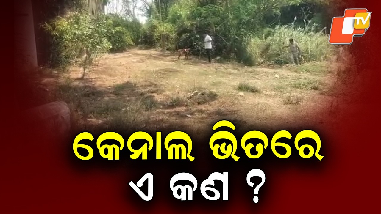 Odisha Shocker: Missing Girl’s Body Found After 2-Day Search