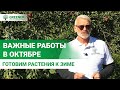 Садовые работы в октябре. Узнайте как подготовить растения к зиме!